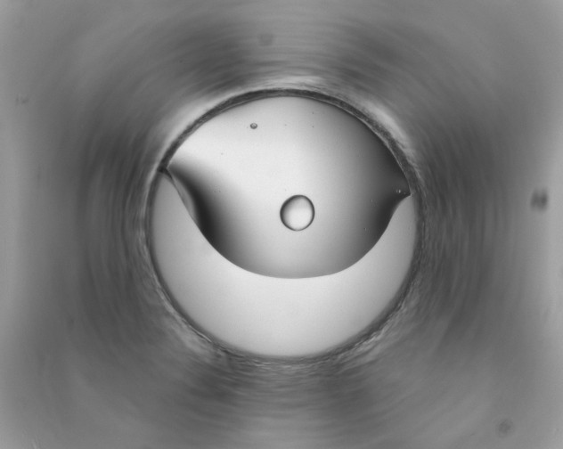 X0000090771324200708172100