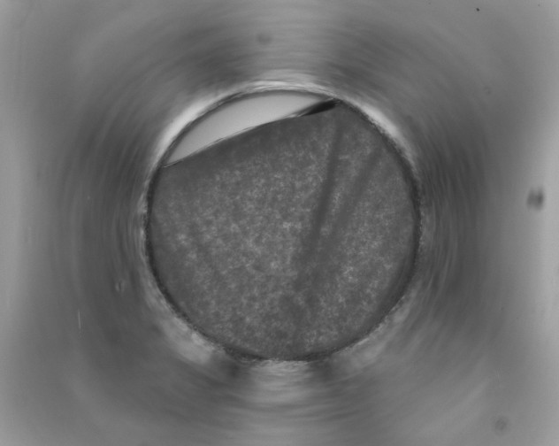 X0000090771325200708172100