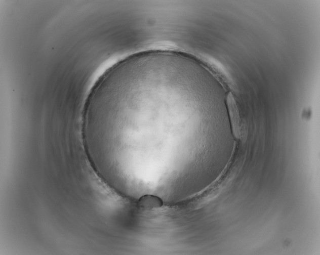 X0000090771326200708172100