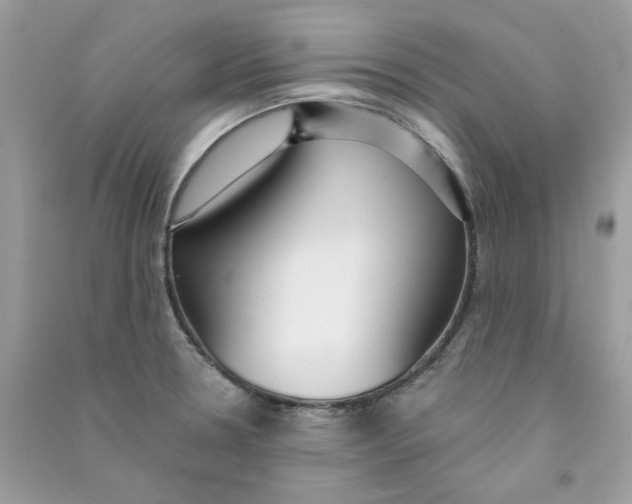 X0000090771330200708172100