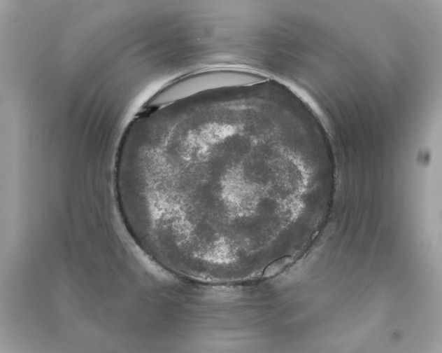 X0000090771333200708172100