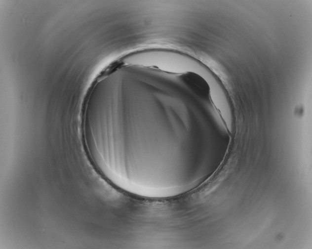 X0000090771334200708172100