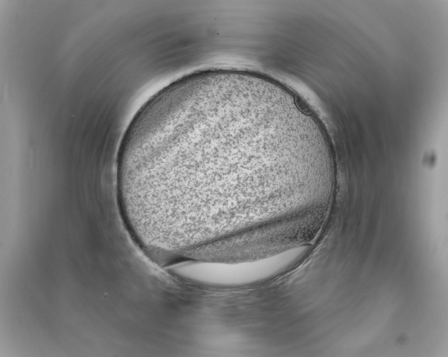 X0000090771335200708172100