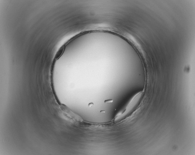 X0000090771336200708172100