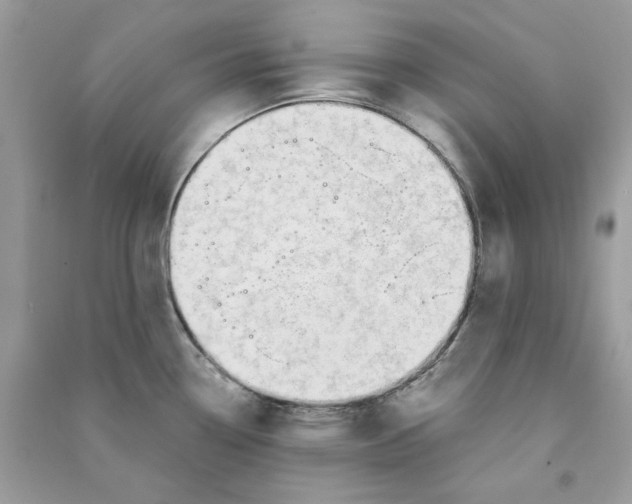 X0000090771338200708172100