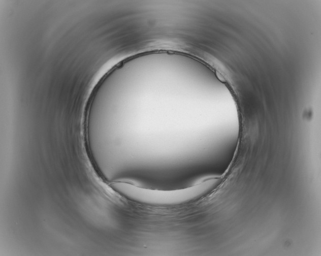 X0000090771339200708172100
