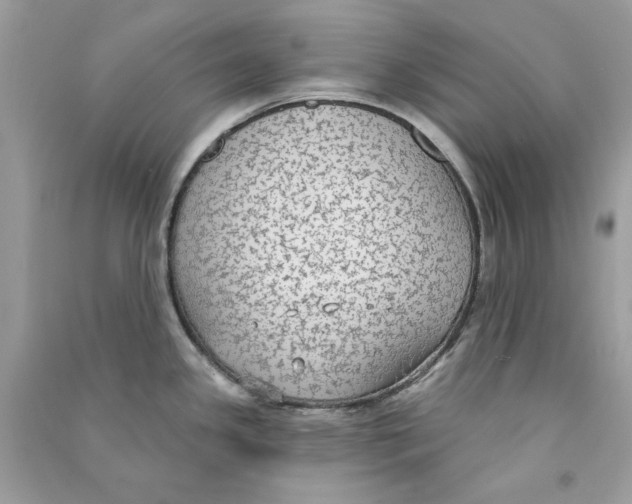 X0000090771341200708172100