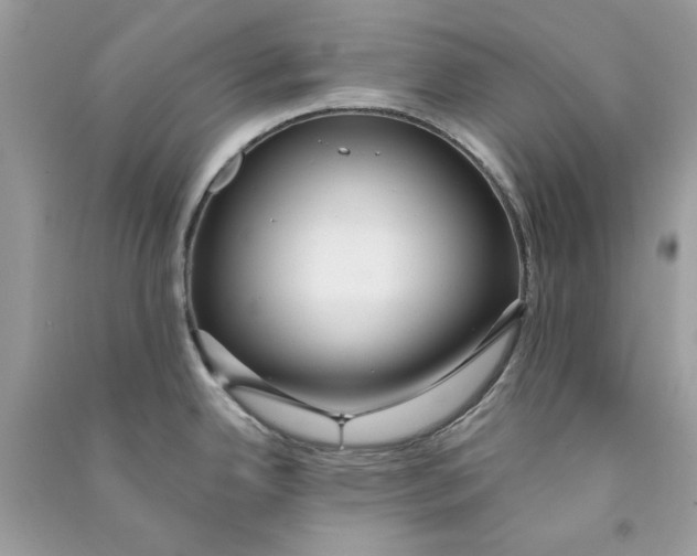 X0000090771342200708172100