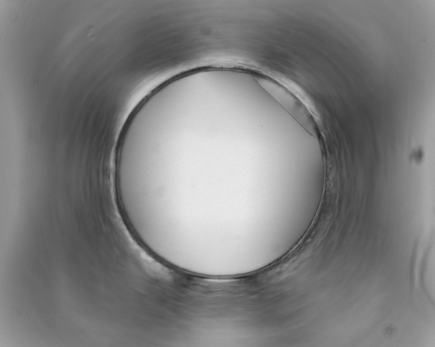X0000090771343200708172100