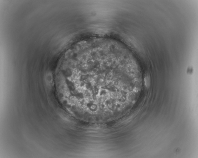 X0000090771347200708172100