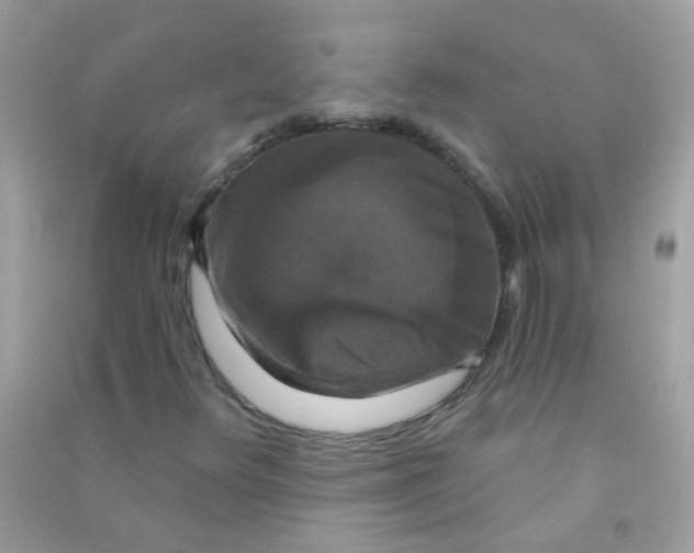 X0000090771348200708172100