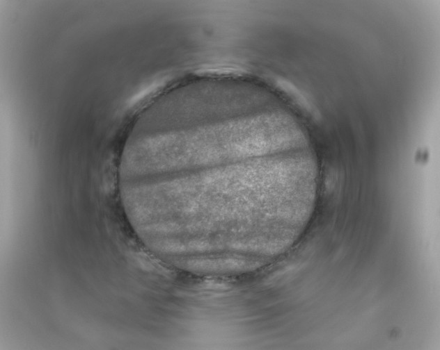 X0000090771350200708172059