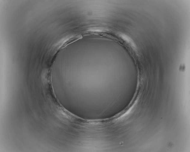X0000090771353200708172059