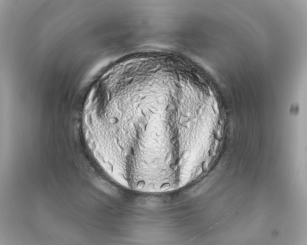 X0000090771355200708172059