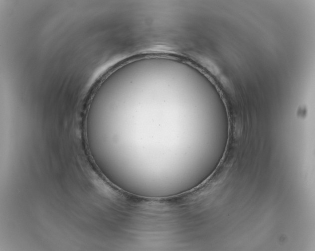 X0000090771356200708172059