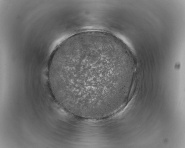 X0000090771357200708172059