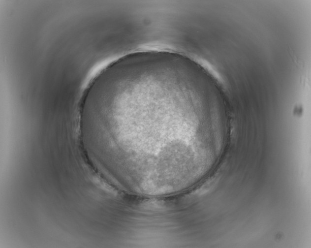 X0000090771358200708172059
