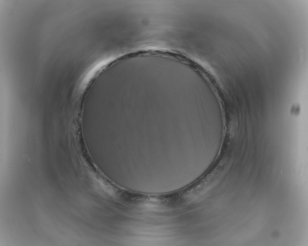 X0000090771359200708172059