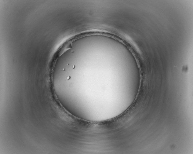 X0000090771360200708172059