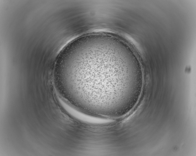 X0000090771361200708172059