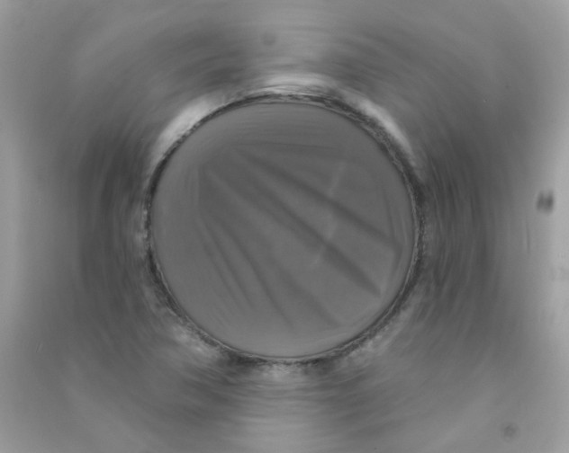 X0000090771362200708172059