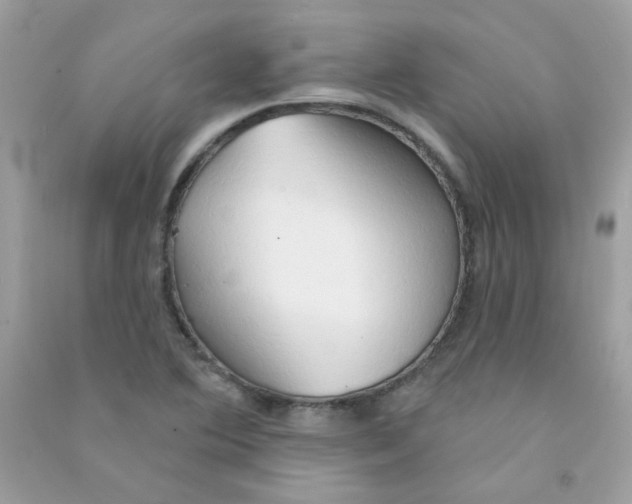 X0000090771364200708172059
