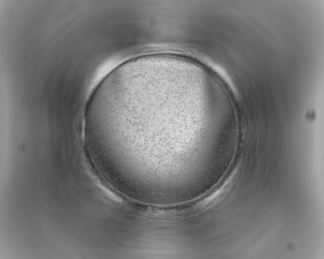 X0000090771365200708172059