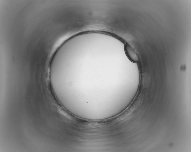 X0000090771366200708172059