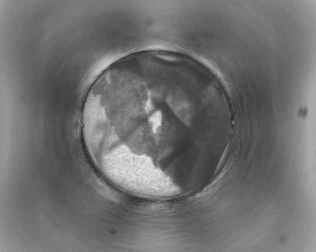 X0000090771367200708172059