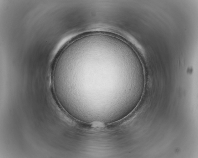 X0000090771368200708172059