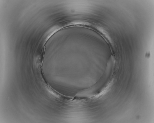 X0000090771369200708172059