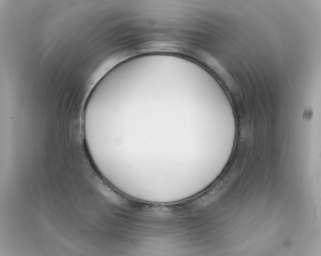 X0000090771370200708172059