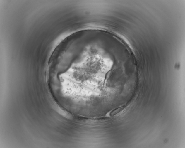 X0000090771371200708172059