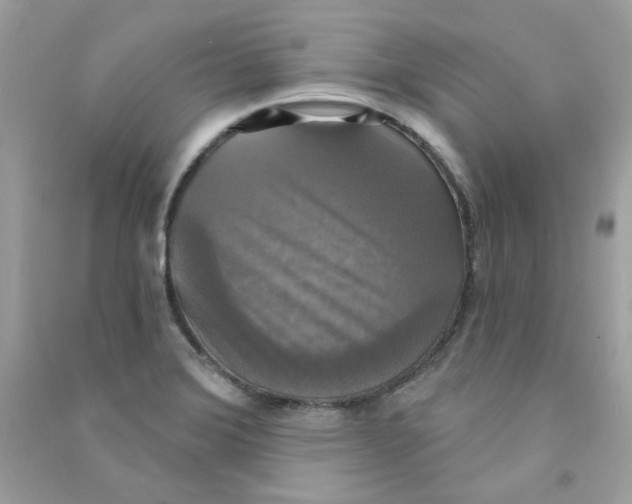 X0000090771372200708172059