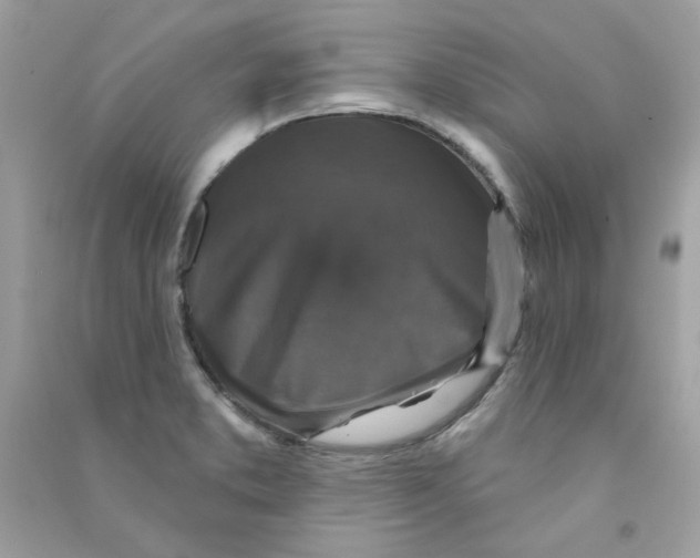 X0000090771373200708172059