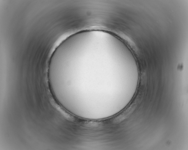 X0000090771374200708172059