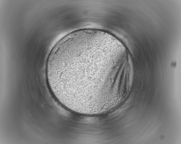 X0000090771375200708172059