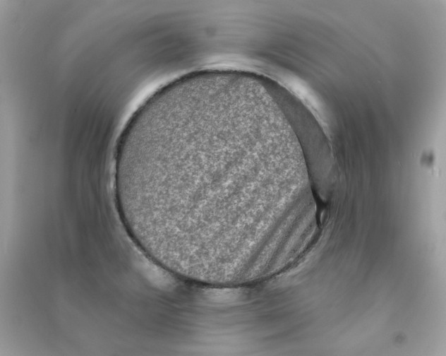 X0000090771376200708172059