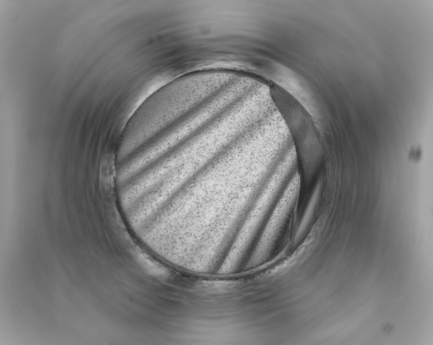 X0000090771377200708172059