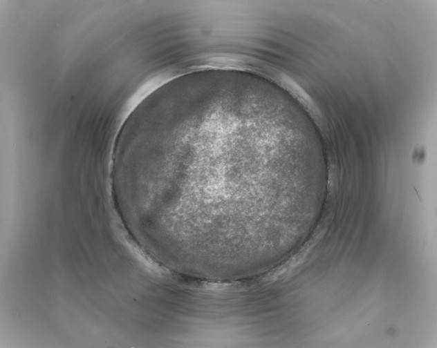 X0000090771378200708172059