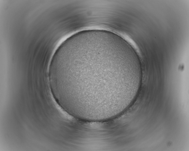 X0000090771380200708172059