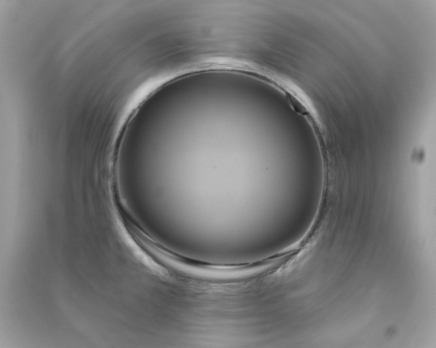 X0000090771381200708172059
