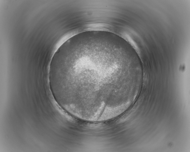 X0000090771386200708172059