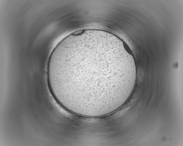 X0000090771387200708172059