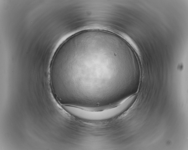 X0000090771388200708172059