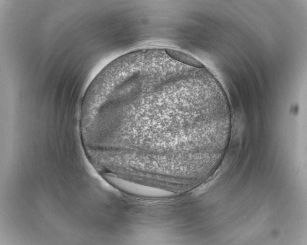 X0000090771390200708172059