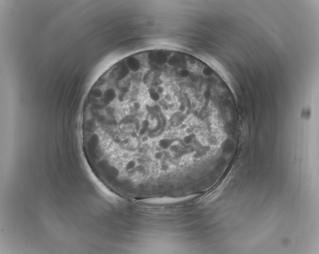 X0000090771391200708172059