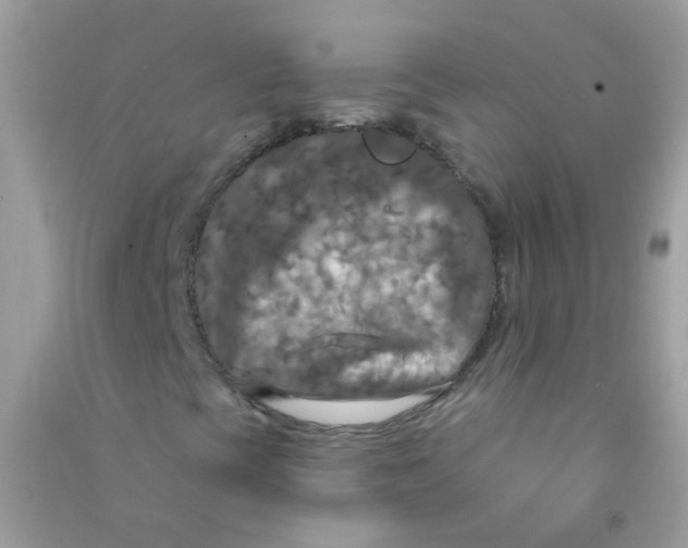 X0000090771393200708172058