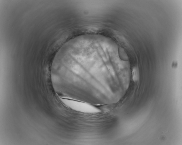 X0000090771395200708172058