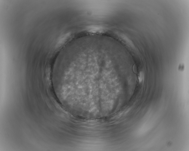 X0000090771396200708172058